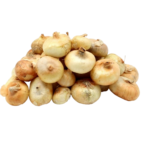 FRESH VEGETABLES ONION BORETTANE £2.56 AL KG (APPROX 5 KG) - ONLY LONDON AREA