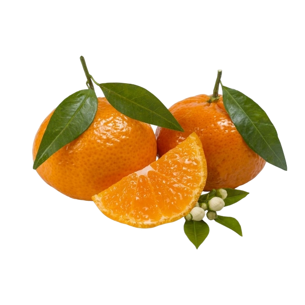 FRESH FRUITS MANDARIN CIACULLI £3.62 AL KG (APPROX 6.2 KG) - ONLY LONDON AREA