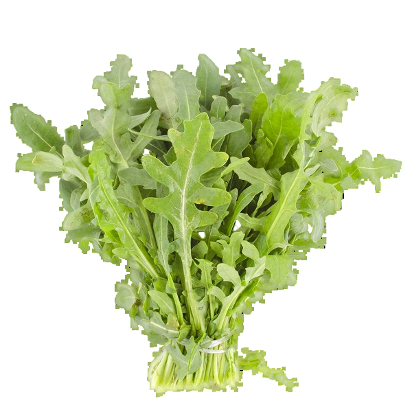 FRESH VEGETABLES ROCKET 20 BUNCHES (1 in a box ) - ONLY LONDON AREA