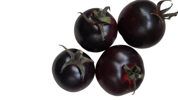 FRESH VEGETABLES TOMATO SUNBLACK £6.81 AL KG (APPROX 4 KG) - ONLY LONDON AREA