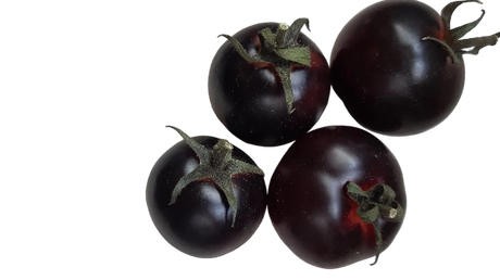 FRESH VEGETABLES TOMATO SUNBLACK £6.81 AL KG (APPROX 4 KG) - ONLY LONDON AREA