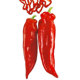 FRESH VEGETABLES PEPPERS CORN RED £2.56 AL KG (APPROX 6 KG) - ONLY LONDON AREA