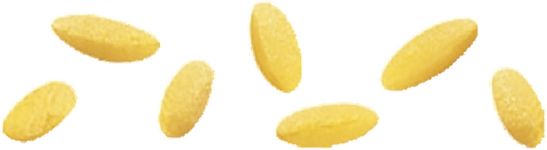 BARILLA PASTINA DI SEMOLA PUNTINE N.23 500 GR (16 in a box)