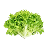 FRESH VEGETABLES SALAD SCAROLA CURLY £5.31 AL KG (APPROX 4 KG) - ONLY LONDON AREA