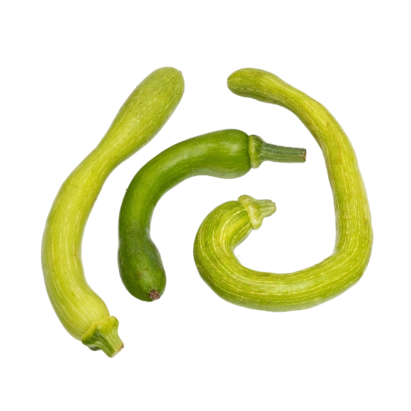FRESH VEGETABLES COURGETTES TROMPETTE £6.75 AL KG (APPROX 8.3 KG) - ONLY LONDON AREA