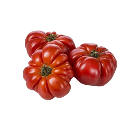 FRESH VEGETABLES TOMATO COSTOLUTO £4.63 AL KG (APPROX 5 KG) - ONLY LONDON AREA