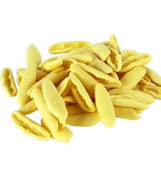 IEBBA FRESH PASTA CORTECCE 500 GR (12 in a box)
