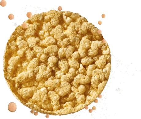 CEREAL SNACK WELNESS PROTEIN GALLETTE PROTEICHE X8 70 GR (16 in a box)