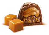 WITOR'S PRALINES GOLDEN MILK CHOCOLATE SALTED CARAMEL 200 GR (12 in a box)
