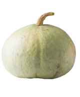 FRESH VEGETABLES SQUASH CASTAGNA £2.75 AL KG (APPROX 11.5 KG) - ONLY LONDON AREA
