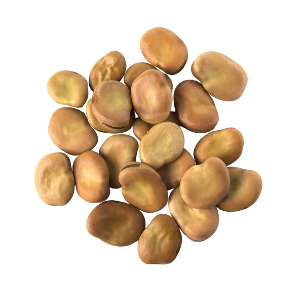 FRESH VEGETABLES DRY BEANS BROAD 4.98 KG (1 in a box) - ONLY LONDON AREA