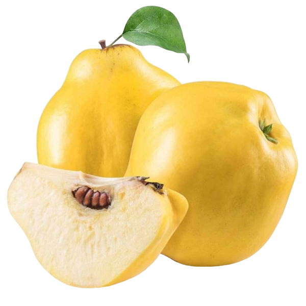 FRESH FRUITS PEAR QUINCE LEAFY £2.93 AL KG (APPROX 9 KG) - ONLY LONDON AREA