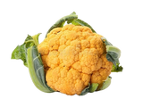 FRESH VEGETABLES CAULIFLOWER YELLOW £3.31 AL KG (APPROX 10 KG) - ONLY LONDON AREA