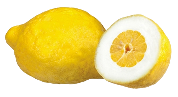 FRESH FRUITS CEDRO LEMON £4.56 AL KG (APPROX 6.4 KG) - ONLY LONDON AREA