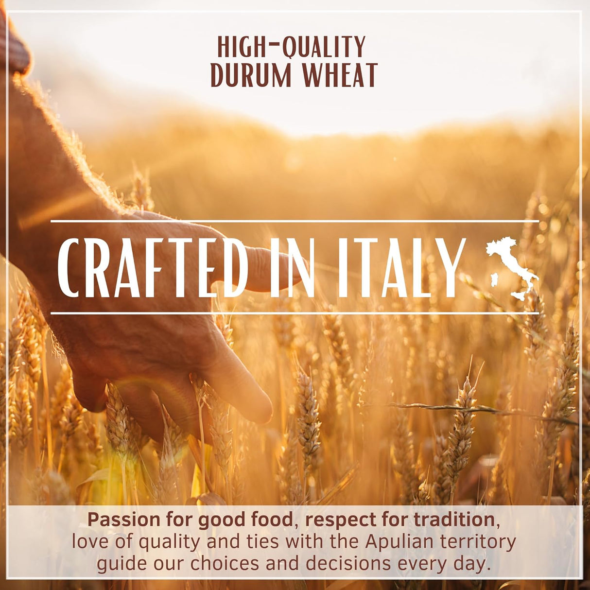 DIVELLA PASTA DI SEMOLA CHIFFERINI LISCI N.48 500 GR (24 in a box)