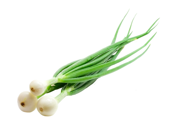 FRESH VEGETABLES ONION GRELOT BUCHES (1 in a box) - ONLY LONDON AREA