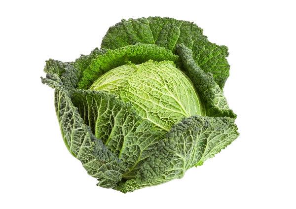 FRESH VEGETABLES CABBAGE SAVOY £1.38 AL KG (APPROX 8.6 KG) - ONLY LONDON AREA