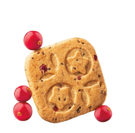 MULINO BIANCO ARMONIA BISCOTTI WHOLEMEAL MIRTILLINI 270 GR (10 in a box)