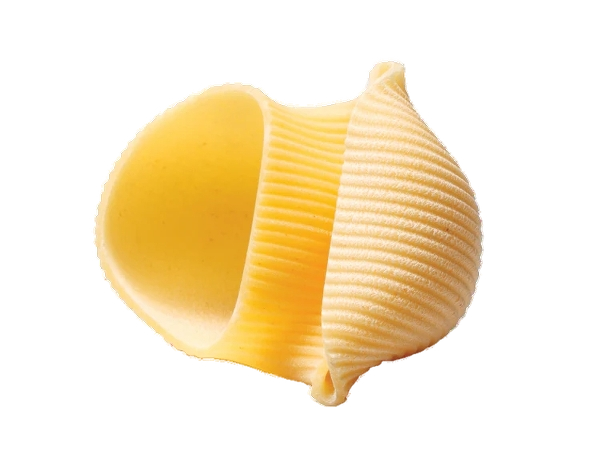 ARMANDO PASTA DI SEMOLA IL LUMACONE 500 GR (6 in a box)