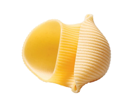 ARMANDO PASTA DI SEMOLA IL LUMACONE 500 GR (6 in a box)