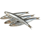 IASA ANCHOVY FILLETS IN OLIVE OIL 600 GR (12 in a box)