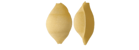 RUMMO PASTA DI SEMOLA CONCHIGLIONI RIGATI N.147 500 GR (12 in a box)