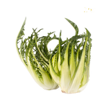 FRESH VEGETABLES PUNTARELLA £2.93 AL KG (APPROX 6 KG) - ONLY LONDON AREA