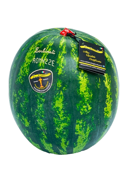 FRESH FRUITS WATERMELON ZERBINATI X2 £2 AL KG (APPROX 30 KG) - ONLY LONDON AREA