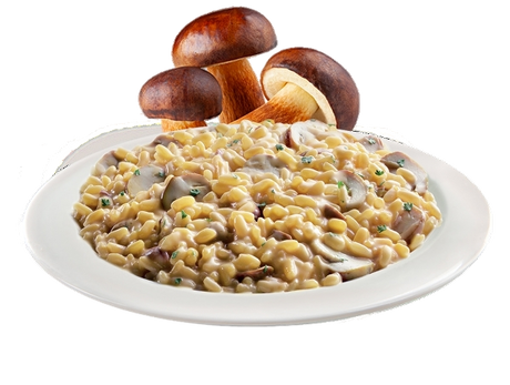 CURTIRISO RISOTTO PORCINI MUSHROOMS 175 GR (14 in a box)