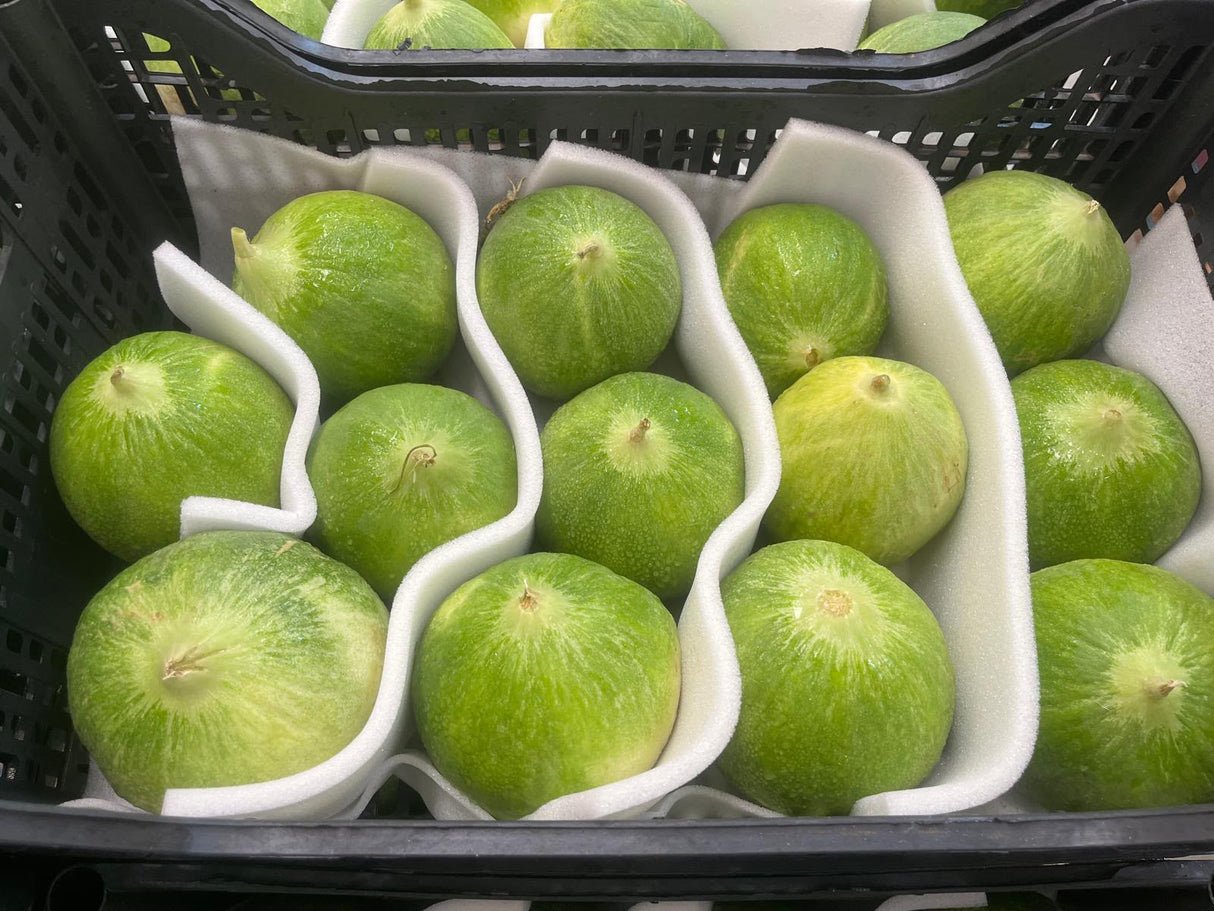 FRESH VEGETABLES CUCUMBER BARATTIERE £3.1 AL KG (APPROX 7 KG) - ONLY LONDON AREA