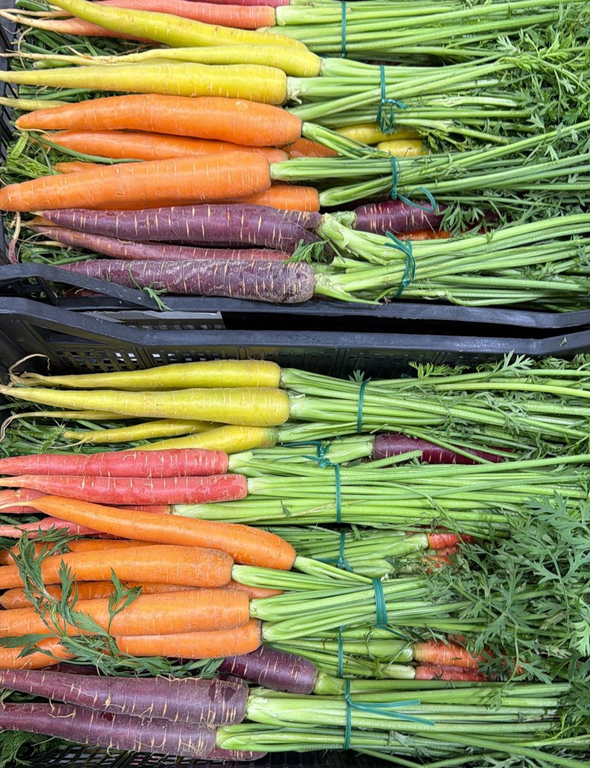 FRESH VEGETABLES CARROTS HERITAGE BUNCHES £5.37 AL KG (APPROX 6.3 KG) - ONLY LONDON AREA