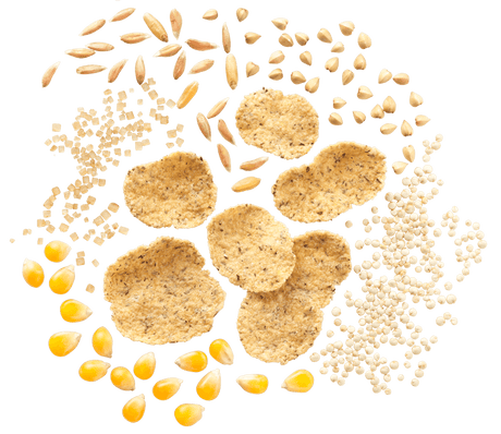 MISURA PLANT BASED CEREALS CEREALI ANTICHI 350 GR (10 in a box)