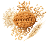 MISURA MULTICEREALI BISCOTTI WHOLEMEAL CORN OAT SPELT 330 GR (10 in a box)