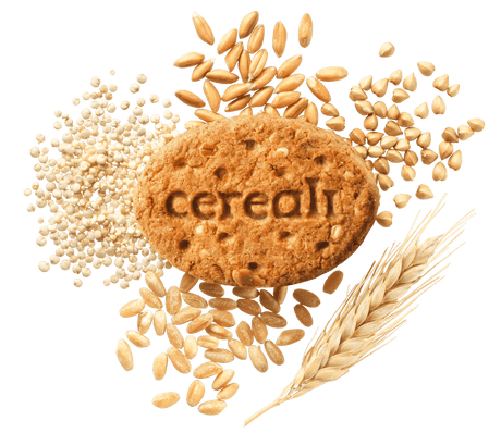 MISURA MULTICEREALI BISCOTTI WHOLEMEAL CORN OAT SPELT 330 GR (10 in a box)