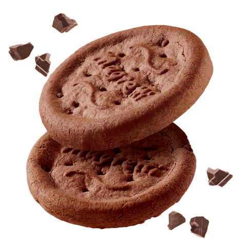 GALBUSERA BISCOTTI MAGRETTI DROPS OF CHOCOLATE X6 260 GR (10 in a box)