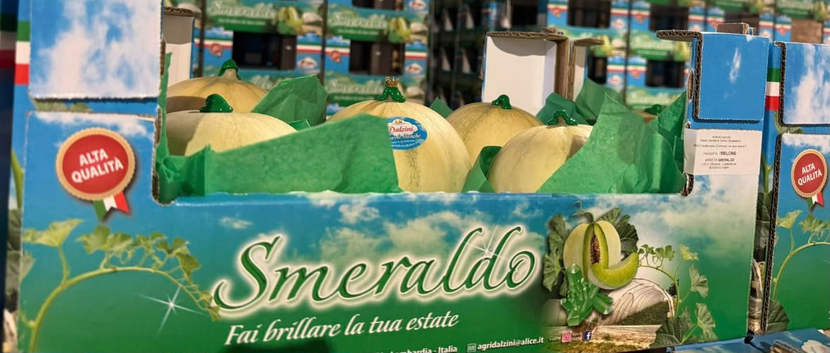FRESH FRUITS MELON SMERALDO X6 £6.12 AL KG (APPROX 7 KG) - ONLY LONDON AREA