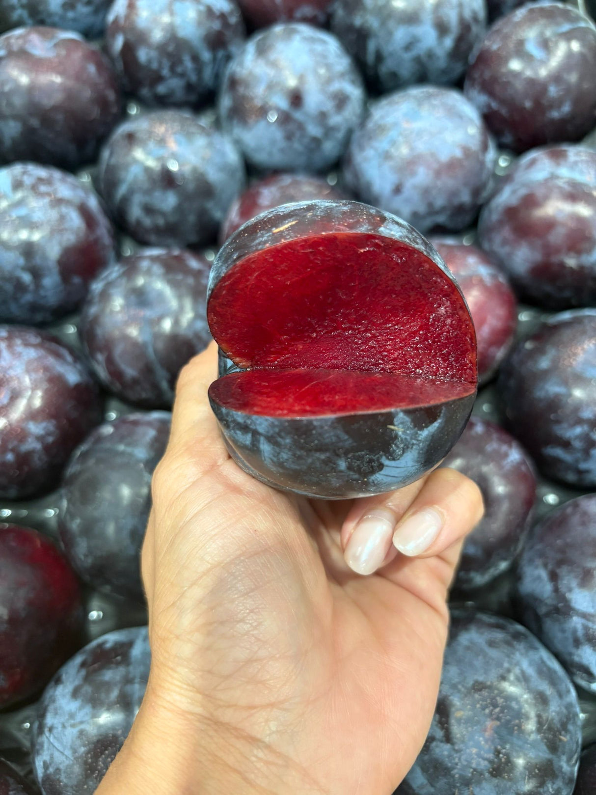 FRESH FRUITS PLUM SANGUE DI DRAGO £3.62 AL KG (APPROX 4.1 KG) - ONLY LONDON AREA
