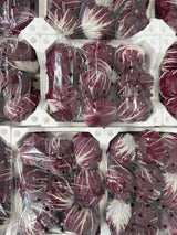 FRESH VEGETABLES RADICCHIO ROUND X9 (1 in a box) - ONLY LONDON AREA