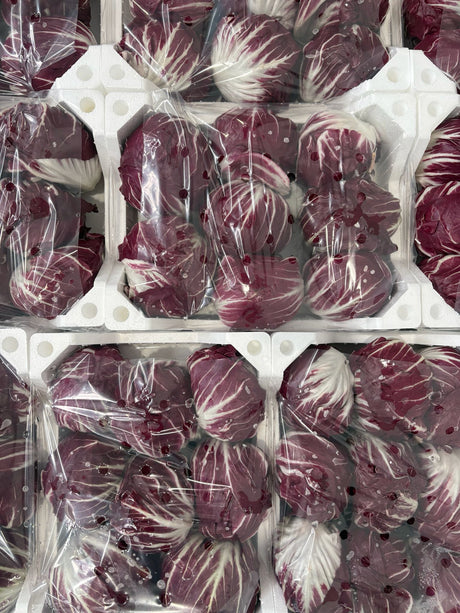FRESH VEGETABLES RADICCHIO ROUND X9 (1 in a box) - ONLY LONDON AREA