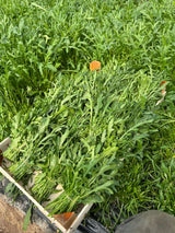 FRESH VEGETABLES ROCKET 20 BUNCHES (1 in a box ) - ONLY LONDON AREA