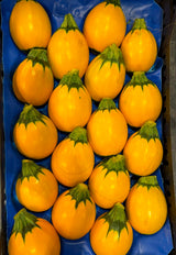 FRESH VEGETABLES COURGETTES ROUND YELLOW £3.68 AL KG (APPROX 5.4 KG) - ONLY LONDON AREA