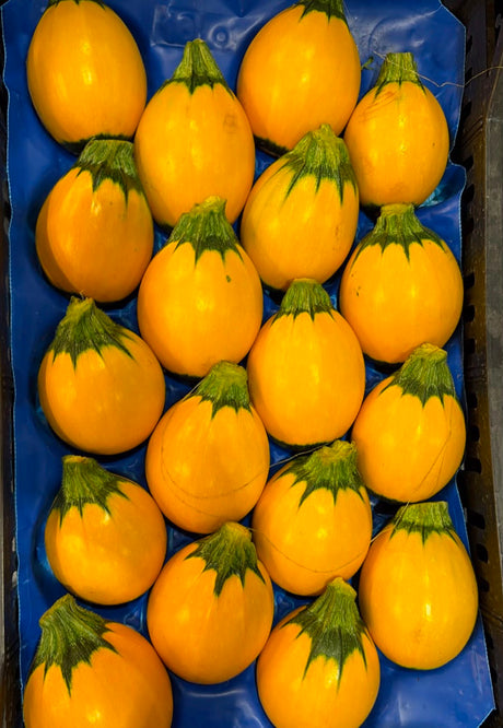 FRESH VEGETABLES COURGETTES ROUND YELLOW £3.68 AL KG (APPROX 5.4 KG) - ONLY LONDON AREA