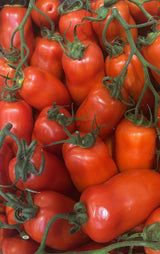 FRESH VEGETABLES TOMATO SAN MARZANO ON THE VINE £4.44 AL KG (APPROX 7.4 KG) - ONLY LONDON AREA