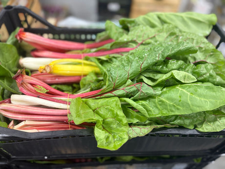 FRESH VEGETABLES SWISS CHARD RAINBOW £3.6 AL KG (APPROX 7.8 KG) - ONLY LONDON AREA