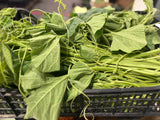 FRESH VEGETABLES TENERUMI COURGETTES TOPS £3.38 AL KG (APPROX 4 KG) - ONLY LONDON AREA