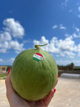 FRESH VEGETABLES CUCUMBER BARATTIERE £5.68 AL KG (APPROX 4.6 KG) - ONLY LONDON AREA