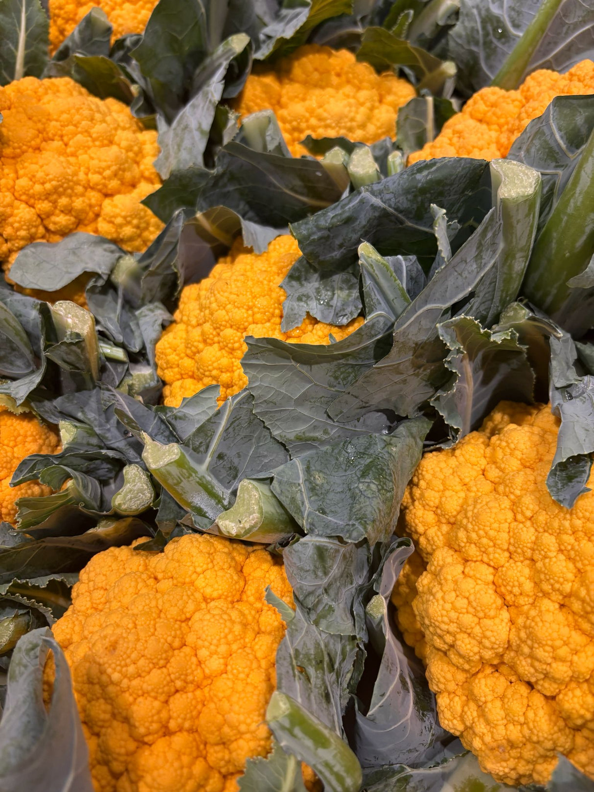 FRESH VEGETABLES CAULIFLOWER YELLOW £3.31 AL KG (APPROX 10 KG) - ONLY LONDON AREA