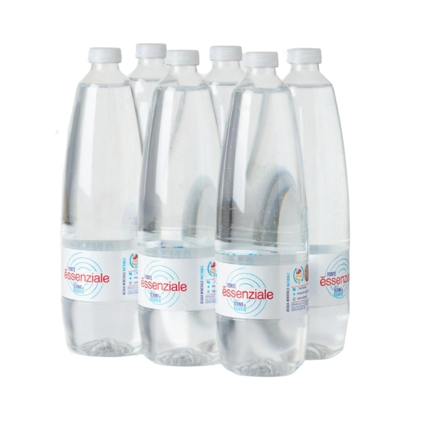 FONTE ESSENZIALE STILL WATER PET 1.2 LT (6 in a box)