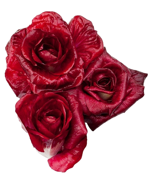 FRESH VEGETABLES RADICCHIO ROSA DI GORIZIA £34.87 AL KG (APPROX 2.3 KG) - PREMIUM - ONLY LONDON AREA