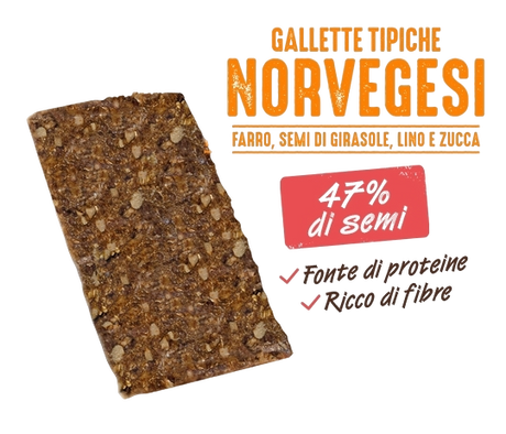 DAILYBREAD SNACK GALLETTE TIPICHE NORVEGESI FARRO AND SEEDS 190 GR (14 in a box)